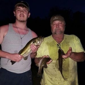 Meet your Posher, Dalton